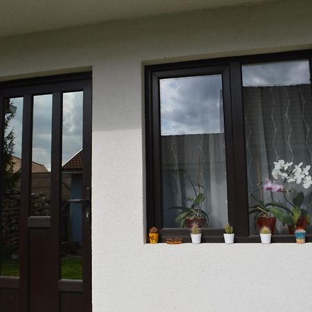 Havasi Gyopar Bed and Breakfast Praid Exteriör bild