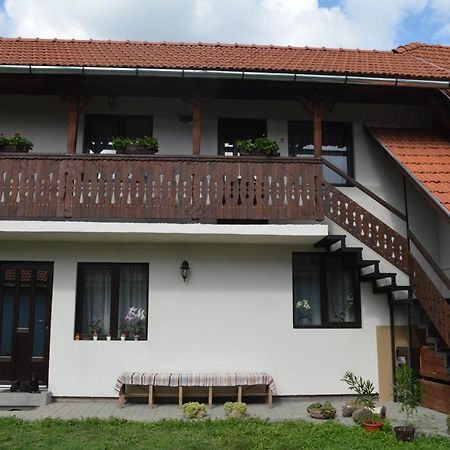 Havasi Gyopar Bed and Breakfast Praid Exteriör bild